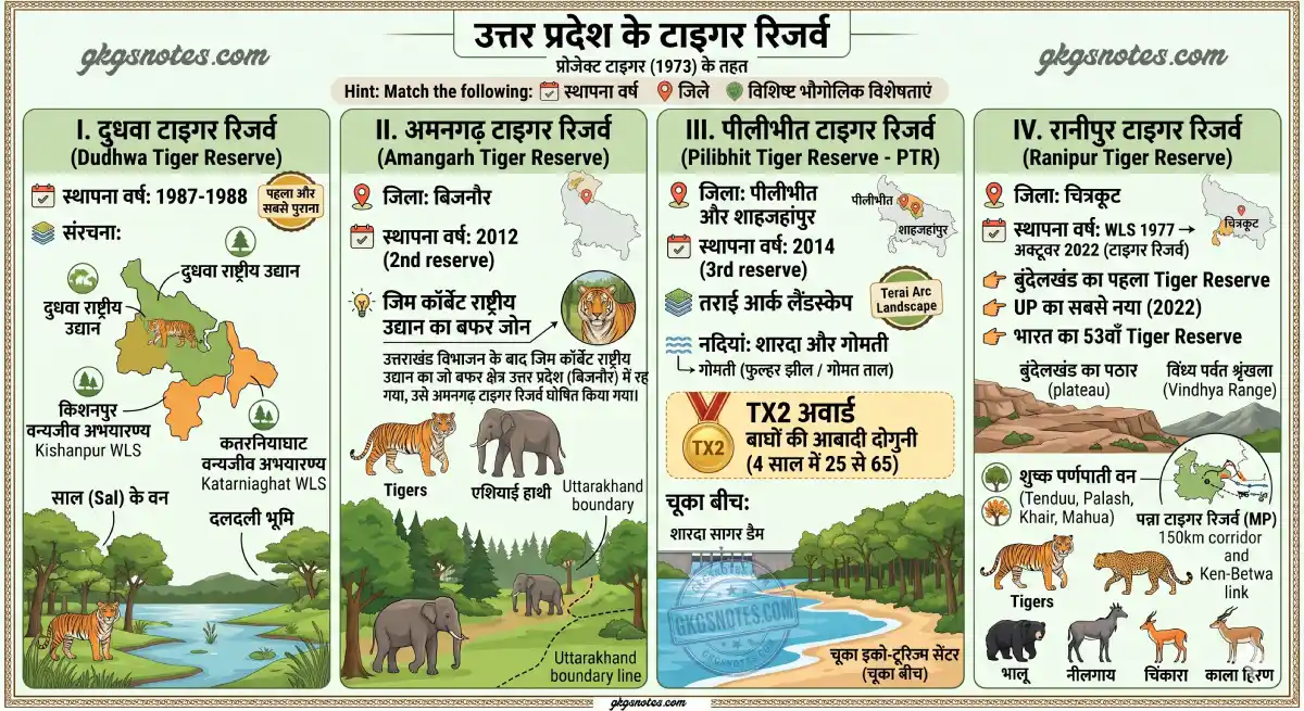 उत्तर प्रदेश के 4 टाइगर रिजर्व का इन्फोग्राफिक - Tiger Reserves in UP Revision Chart
